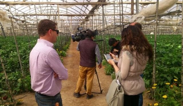 La Consejería de Empresa coordina la grabación de un programa de la televisión nipona sobre el pimiento murciano dirigido a 25 millones de espectadores - 1, Foto 1