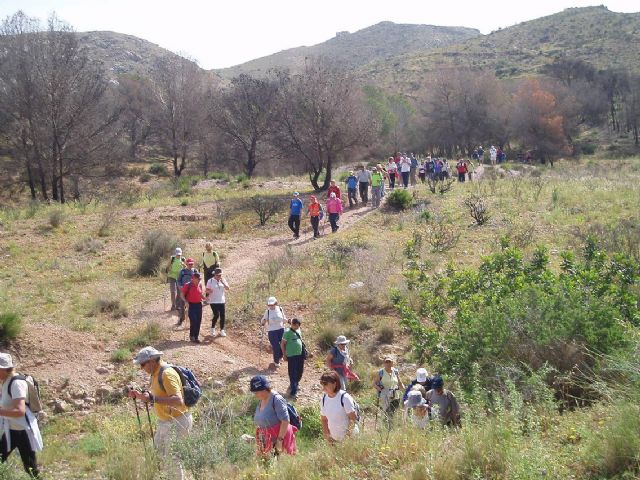 Cuatro rutas senderistas durante este mes de mayo pondrán en forma a los mayores - 1, Foto 1