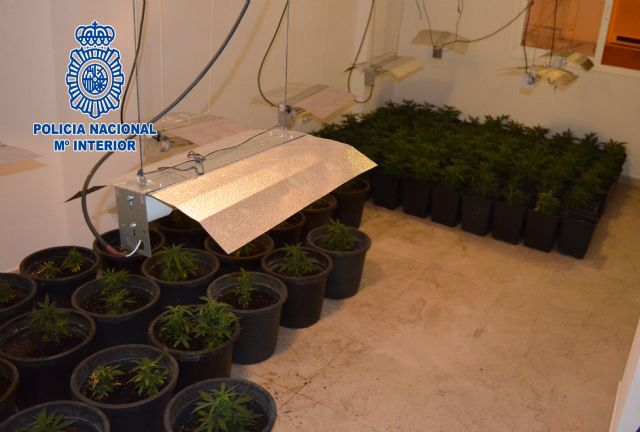 La Policía Nacional descubre una plantación de marihuana en una vivienda tras producirse un incendio - 1, Foto 1