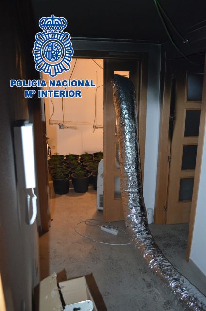 La Policía Nacional descubre una plantación de marihuana en una vivienda tras producirse un incendio - 3, Foto 3