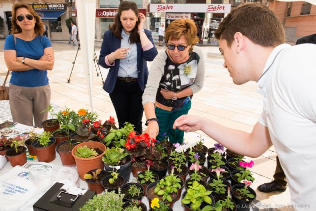 La Escuela de Agrónomos de la UPCT celebra la Semana de la Flor - 4, Foto 4