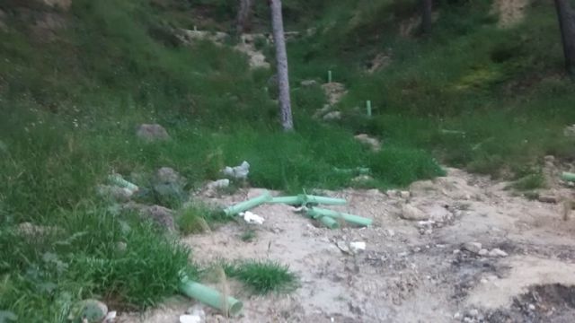 IU-Verdes denuncia la falta de mantenimiento y el abandono de las recientes reforestaciones en la Atalaya - 1, Foto 1