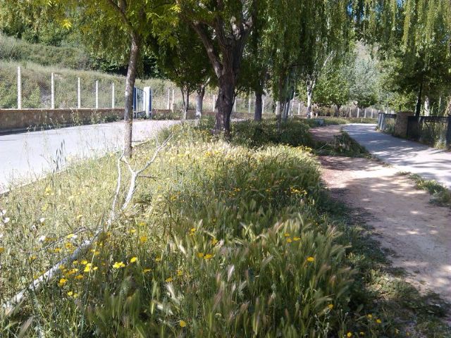 El Paseo Ribereño se encuentra, a fecha de hoy, en un estado lamentable de conservación - 2, Foto 2