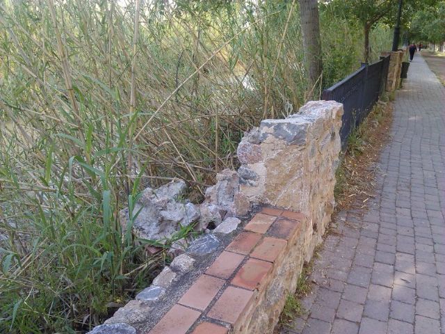 El Paseo Ribereño se encuentra, a fecha de hoy, en un estado lamentable de conservación - 5, Foto 5