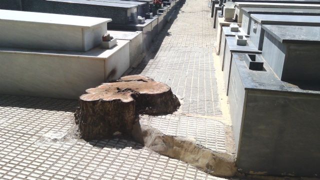 Limpieza integral en los cementerios de La Unión y Portmán - 4, Foto 4