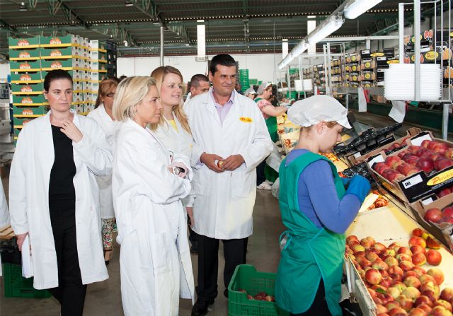 Grupo Perichán invierte 5 millones y emplea a 200 personas más que en 2014 - 1, Foto 1