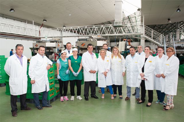 Grupo Perichán invierte 5 millones y emplea a 200 personas más que en 2014 - 2, Foto 2