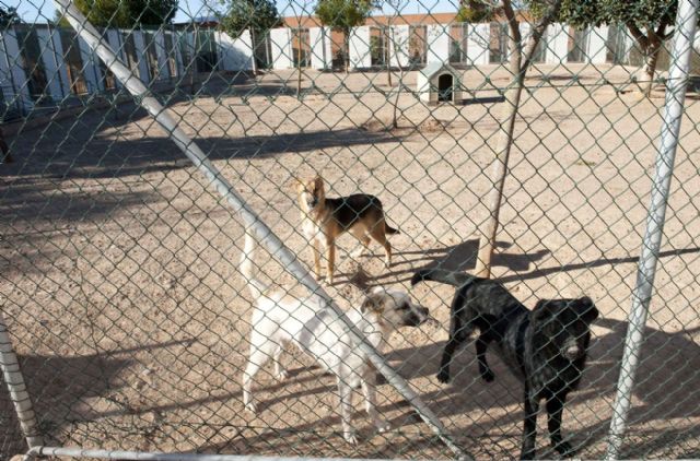 Ocho contratistas aspiran a gestionar el CATAD - 1, Foto 1
