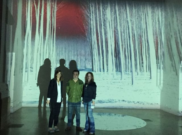 La Sala Verónicas de Murcia acoge la exposición multidisciplinar de Ángel Haro ´Estrella del norte´ organizada por Cultura - 1, Foto 1