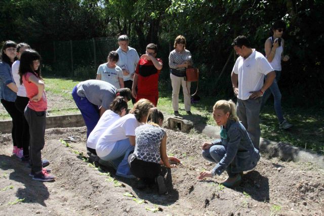 Actividades con los centros educativos en el Huerto Ecológico de Las Fuentes - 1, Foto 1
