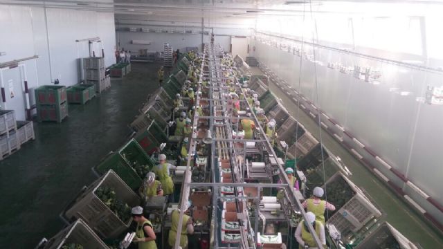 Paco Jódar apuesta por los trasvases y un precio social del agua desalada para que siga creciendo la agricultura del Guadalentín - 2, Foto 2