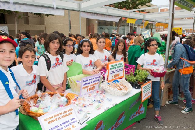 Centenares de escolares desarrollan una veintena de cooperativas - 3, Foto 3