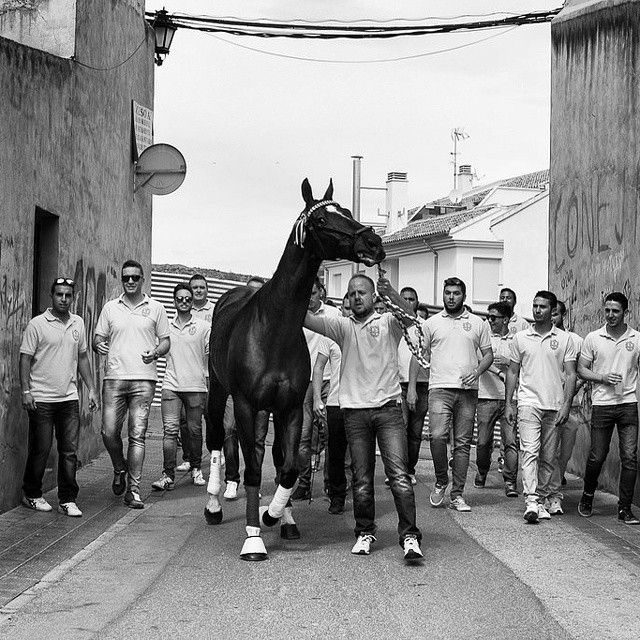Los usuarios de Instagram votan las imágenes ganadoras del concurso Fiestas de Caravaca - 2, Foto 2