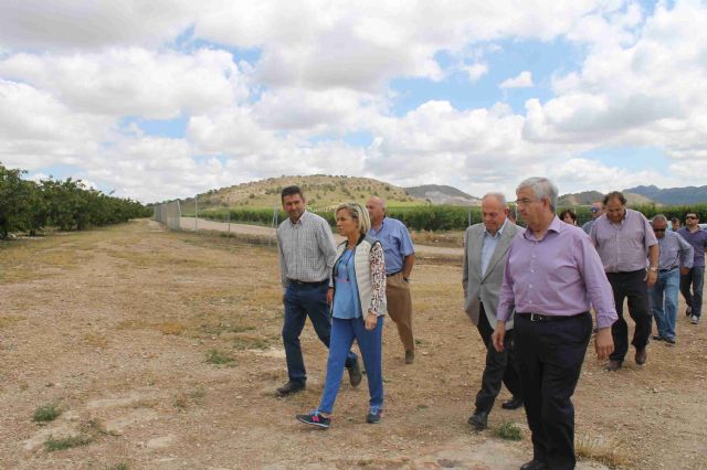 La consejera de Agricultura conoce en Jumilla los da&ntilde;os de la tormenta ocasionados en el altiplano - 2, Foto 2