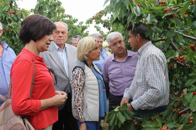 La consejera de Agricultura conoce en Jumilla los da&ntilde;os de la tormenta ocasionados en el altiplano - 3, Foto 3