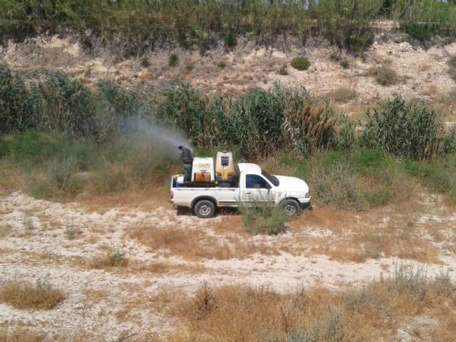 El Ayuntamiento de Alguazas comienza el habitual tratamiento contra los insectos previo al verano - 2, Foto 2