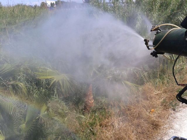 El Ayuntamiento de Alguazas comienza el habitual tratamiento contra los insectos previo al verano - 3, Foto 3
