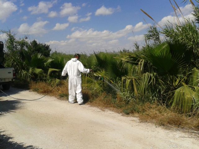 El Ayuntamiento de Alguazas comienza el habitual tratamiento contra los insectos previo al verano - 4, Foto 4
