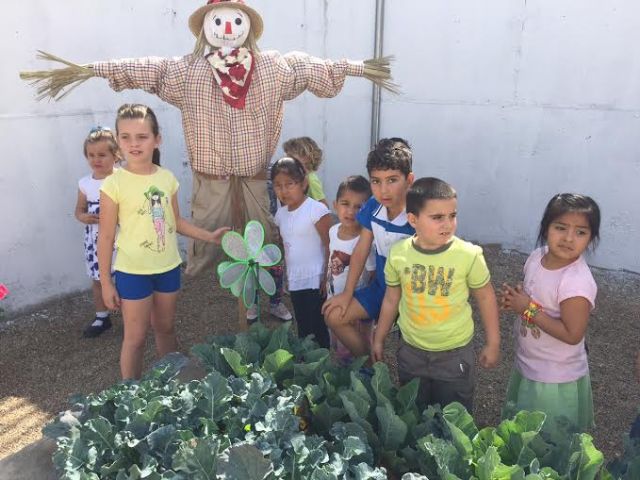 La comunidad educativa del CEIP La Cruz pone en marcha el proyecto pedagógico Huerto Escolar Ecológico recolectando su primera cosecha - 1, Foto 1