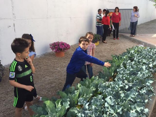 La comunidad educativa del CEIP La Cruz pone en marcha el proyecto pedagógico Huerto Escolar Ecológico recolectando su primera cosecha - 2, Foto 2