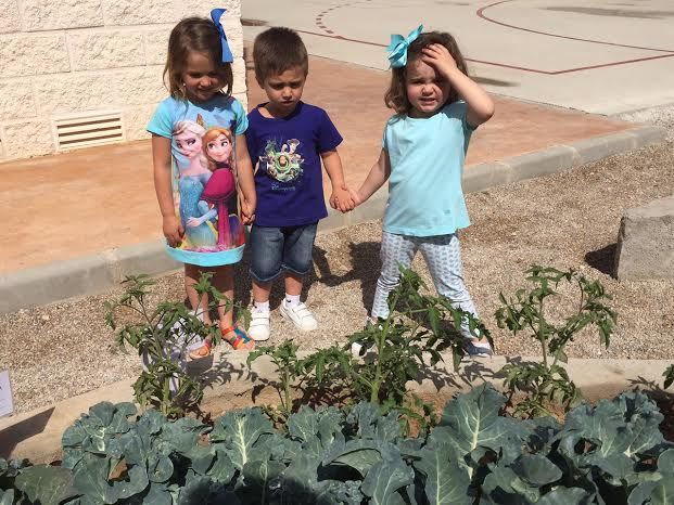 La comunidad educativa del CEIP La Cruz pone en marcha el proyecto pedagógico Huerto Escolar Ecológico recolectando su primera cosecha - 3, Foto 3