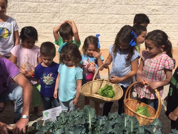 La comunidad educativa del CEIP La Cruz pone en marcha el proyecto pedagógico Huerto Escolar Ecológico recolectando su primera cosecha, Foto 7
