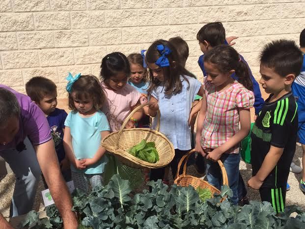 La comunidad educativa del CEIP La Cruz pone en marcha el proyecto pedagógico Huerto Escolar Ecológico recolectando su primera cosecha, Foto 8