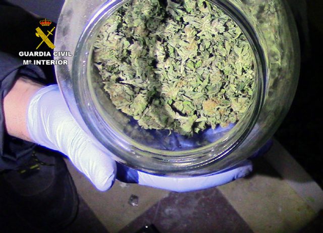 La Guardia Civil desmantela una experimentada organización criminal dedicada a robos en viviendas y al tráfico de drogas - 3, Foto 3