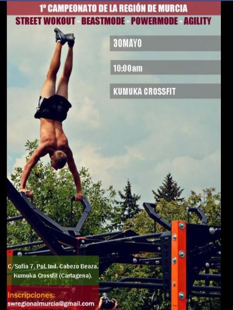 Llega el Primer Campeonato Regional de Street Workout - 1, Foto 1