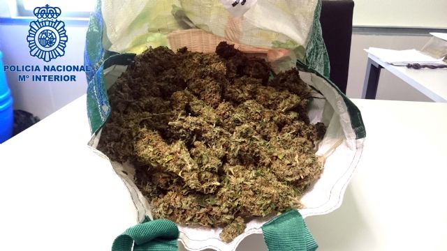 Detenido el presidente de una asociación cannábica por  tráfico de drogas - 1, Foto 1