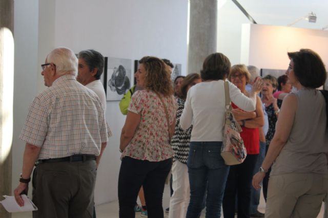 Exposición de talleres de Artes Plásticas de la UP - 2, Foto 2