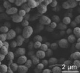 El IMIDA y la UMU desarrollan una tecnología de encapsulado y liberación controlada de fármacos a partir de nanopartículas de seda