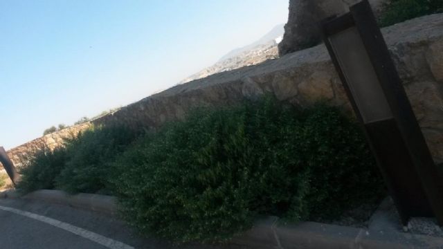 El PSOE denuncia el estado en el que se encuentran las inmediaciones de la Iglesia de San Juan y Cuesta de la Velica - 5, Foto 5