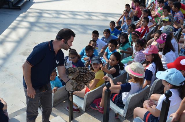 Las aves rapaces se convierten en las estrellas del auditorio municipal - 1, Foto 1