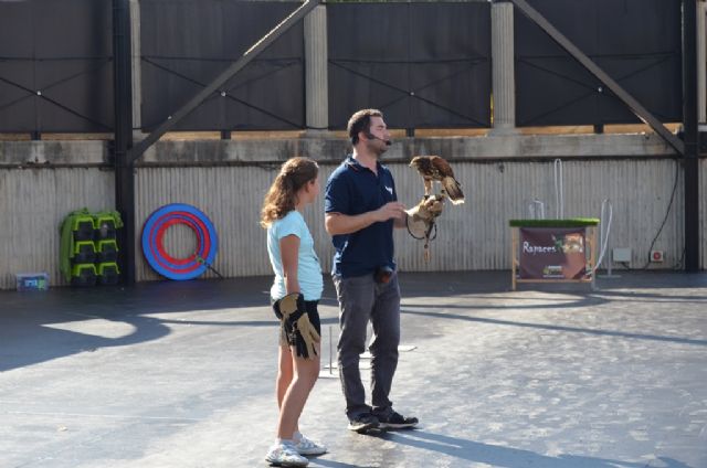 Las aves rapaces se convierten en las estrellas del auditorio municipal - 3, Foto 3