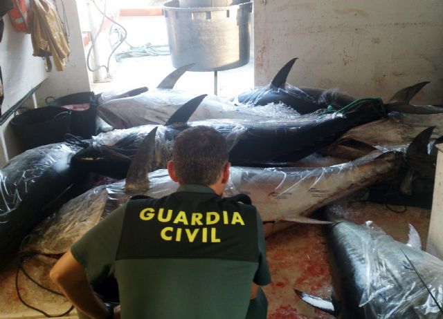 La Guardia Civil decomisa en aguas de San Pedro del Pinatar ocho atunes rojos capturados ilícitamente - 2, Foto 2