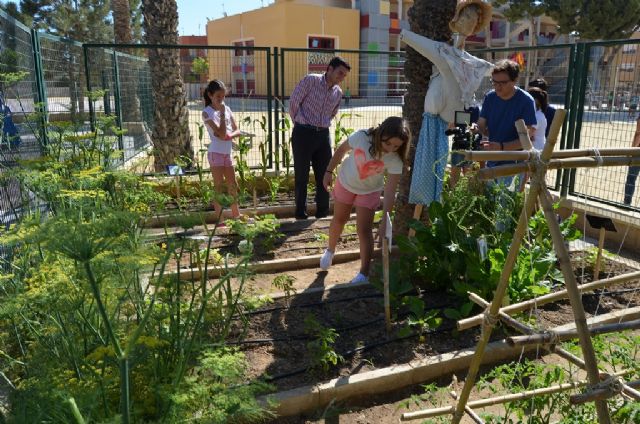 El colegio Sagrado Corazón pone en marcha un huerto escolar ecológico - 1, Foto 1