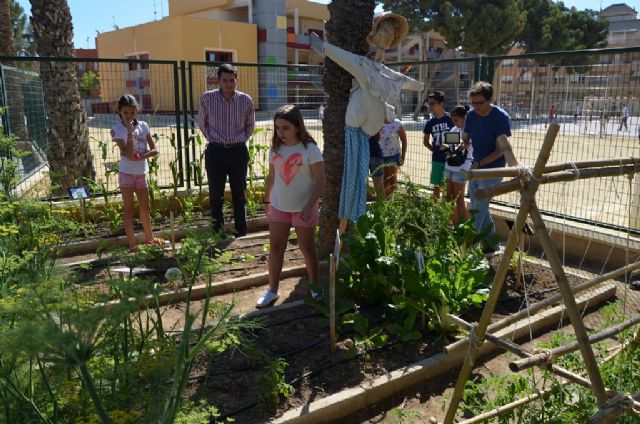 El colegio Sagrado Corazón pone en marcha un huerto escolar ecológico - 2, Foto 2