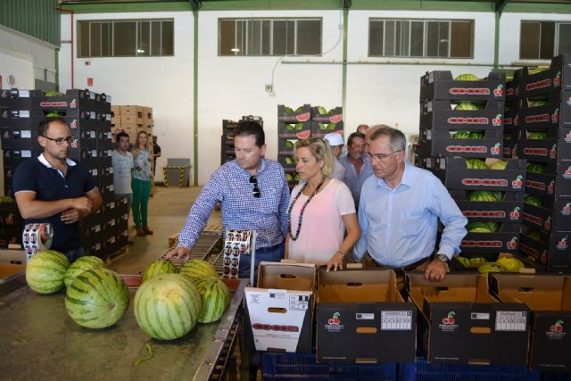 Martínez-Cachá destaca los ensayos realizados en Águilas para recuperar variedades autóctonas de productos agroalimentarios - 1, Foto 1
