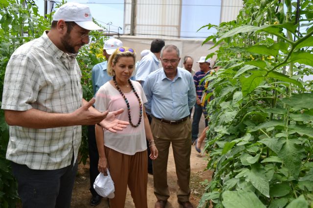 Martínez-Cachá destaca los ensayos realizados en Águilas para recuperar variedades autóctonas de productos agroalimentarios - 2, Foto 2