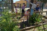 El colegio 'Sagrado Corazn' pone en marcha un huerto escolar ecolgico
