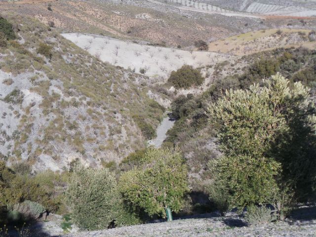 La CHS construirá seis nuevos diques en la rambla de Nogalte para evitar inundaciones - 2, Foto 2