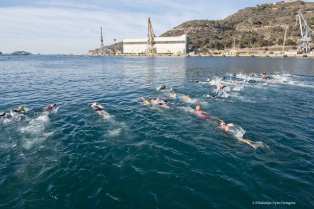 El Triatlón SERTRI congregó a más de medio millar de deportistas en el puerto - 3, Foto 3