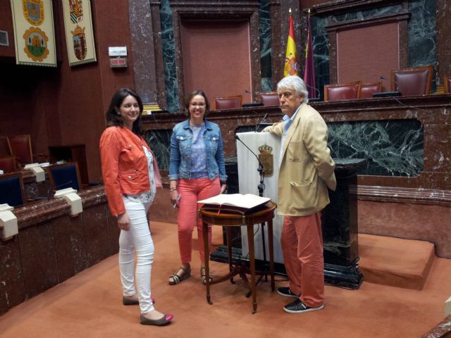 Todo listo para la constitución el lunes de la Asamblea Regional, Foto 2