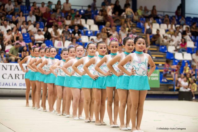 Más de 800 gimnastas clausuraron la temporada de la Escuela Municipal de Gimnasia Rítmica - 5, Foto 5