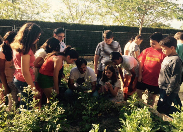 El CEIP Deitania celebra el da del medio ambiente con una jornada de “Huertas Abiertas” - 5