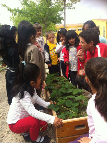 El CEIP Deitania celebra el da del medio ambiente con una jornada de “Huertas Abiertas” - 7
