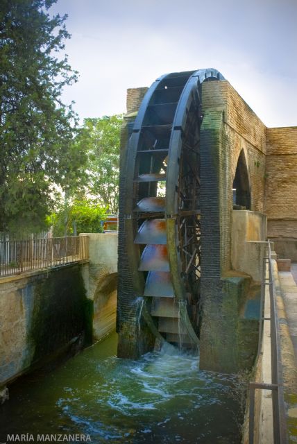 María Manzanera evoca en una exposición fotográfica la huerta que se pierde - 2, Foto 2