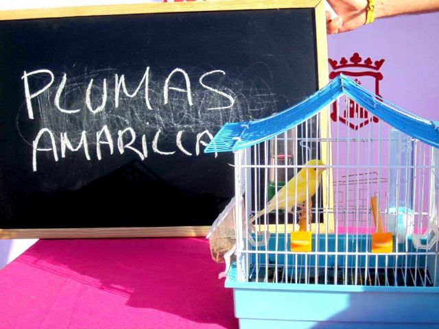 El ganador, un canario, ha recibido un total de 2492 'me gusta' en una semana en el Facebook del Ayuntamiento y era elegido la favorito entre 25 mascotas - 1, Foto 1