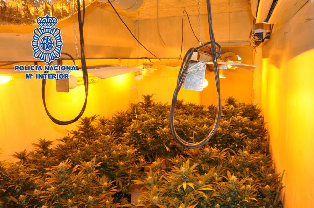 Cuatro detenidos por traficar con drogas en Alcantarilla - 1, Foto 1